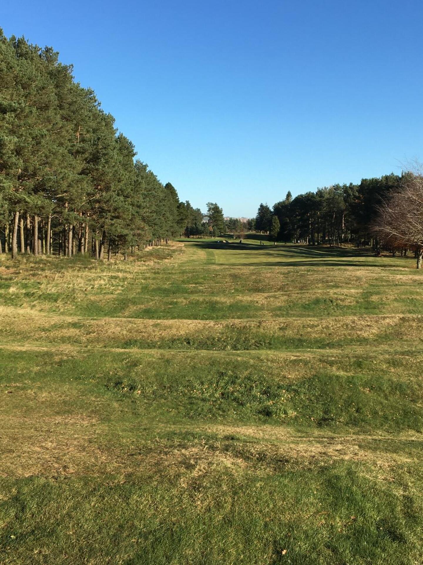 (Photo submitted by u818054496 on 11/07/2020)